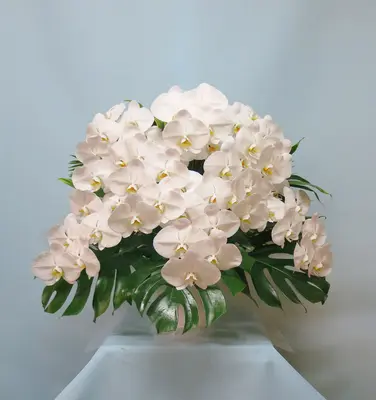 多門メモリアルで葬儀を行なった写真