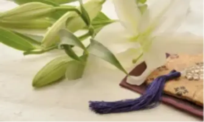 気になる葬儀費用が「低価格で高品質」