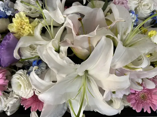 家族葬のそうえん多摩動物公園ホールで葬儀を行なった写真