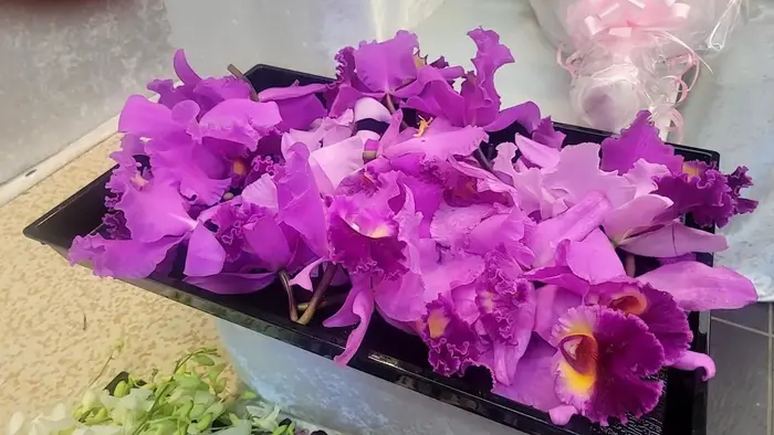 家族葬のそうえん多摩動物公園ホールで葬儀を行なった写真