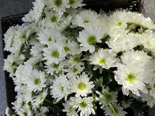 家族葬のそうえん多摩動物公園ホールで葬儀を行なった写真