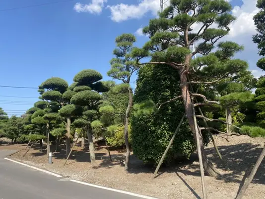 三郷市斎場で葬儀を行なった写真