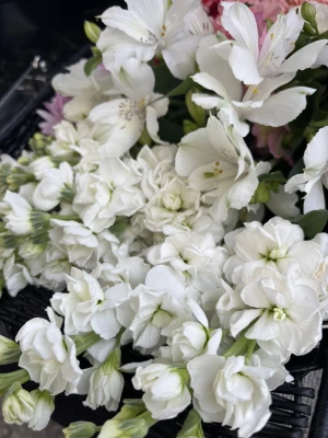 ベイライフで葬儀を行なった写真