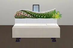 一日葬プラン