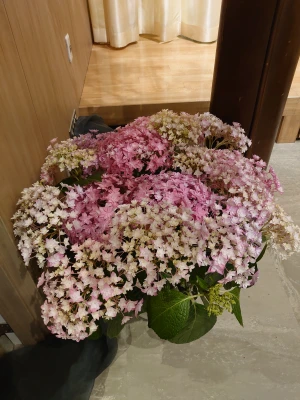 フラワリングセレモニー大田営業所