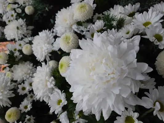 フラワリングセレモニー大田営業所で葬儀を行なった写真