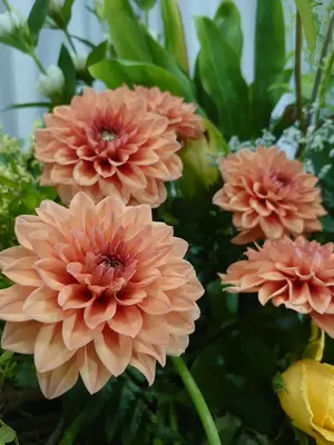 フラワリングセレモニー大田営業所で葬儀を行なった写真