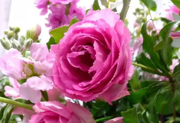 フラワリングセレモニー大田営業所で葬儀を行なった写真