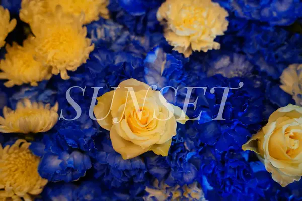 サンセット葬祭で葬儀を行なった写真