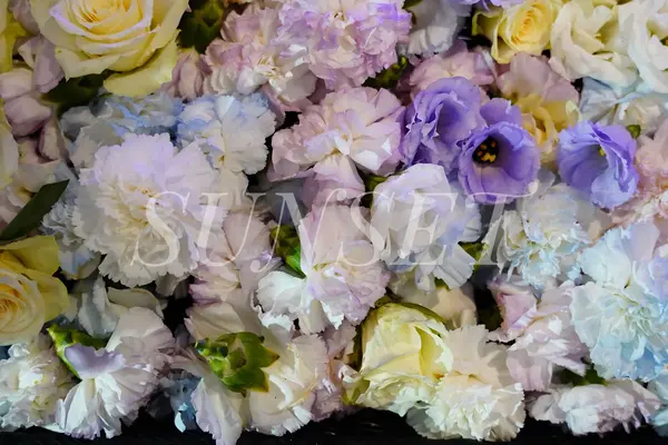 サンセット葬祭で葬儀を行なった写真