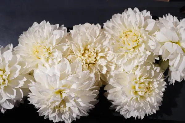 サンセット葬祭で葬儀を行なった写真