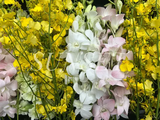 サンセット葬祭で葬儀を行なった写真