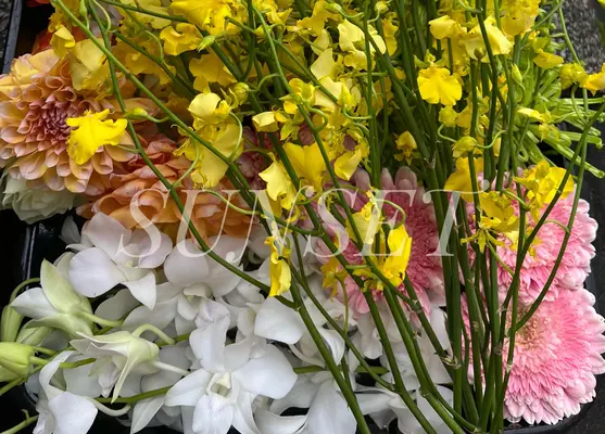 サンセット葬祭で葬儀を行なった写真