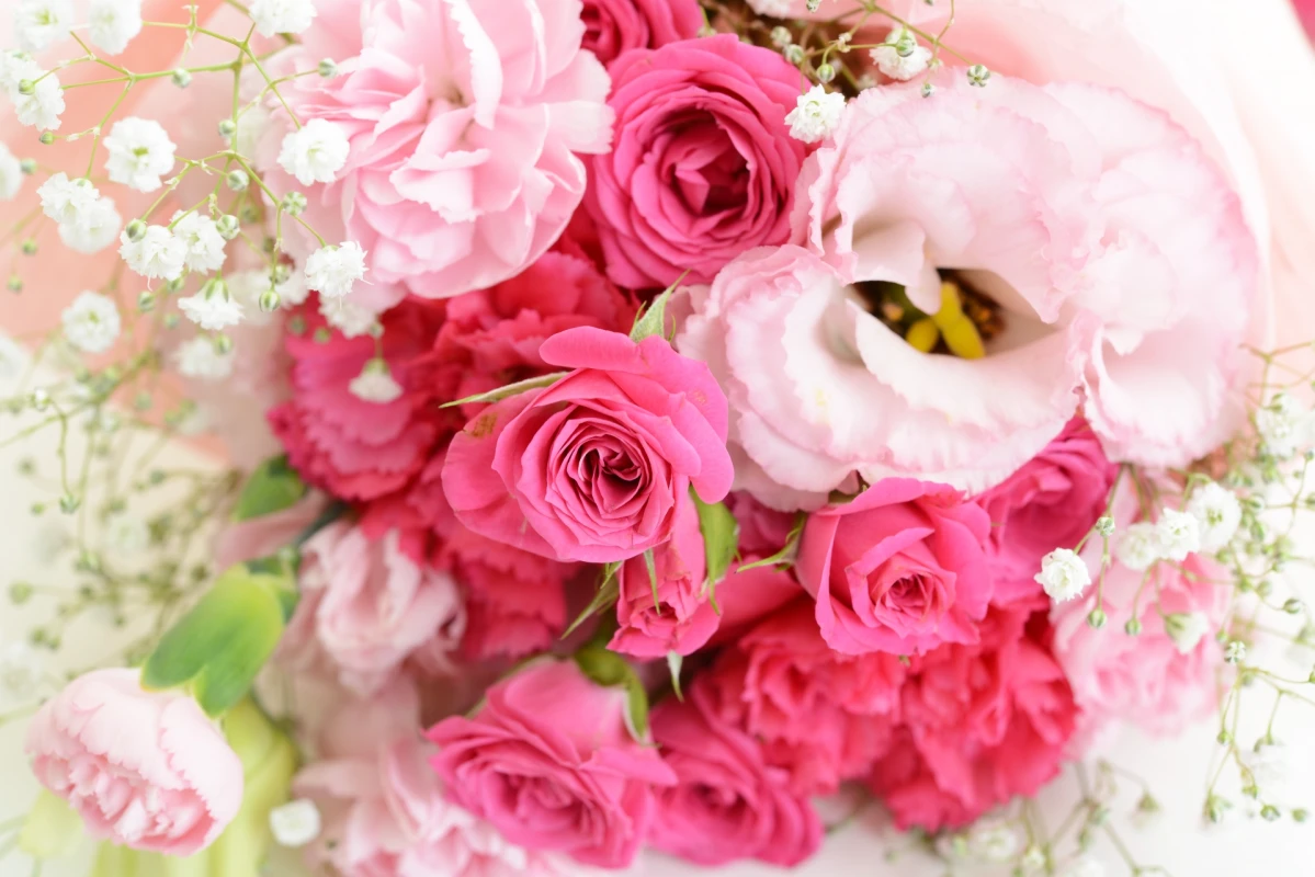 シンシア　プラン（１日葬）