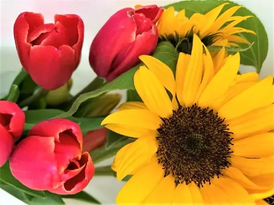 東京葬儀(府中営業所)で葬儀を行なった写真