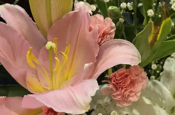 平安メモリアル　座間営業所で葬儀を行なった写真