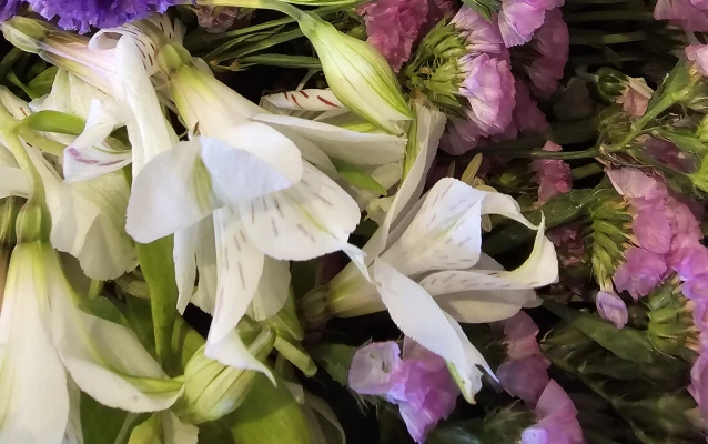 平安メモリアル　座間営業所