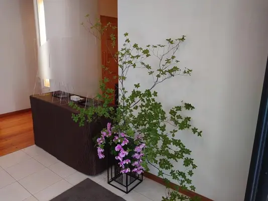 圓乗院で葬儀を行なった写真