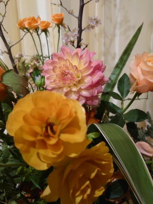 フラワリングセレモニー　浦安営業所