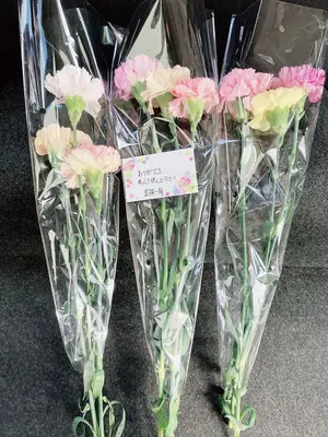 密葬セレモニー ひかり