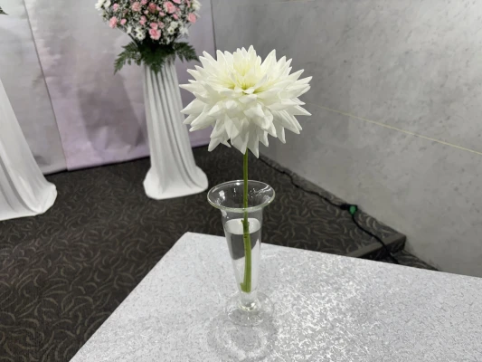 府中市/はじめてのお葬式