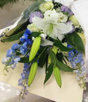 府中市/はじめてのお葬式