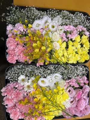 府中市/はじめてのお葬式