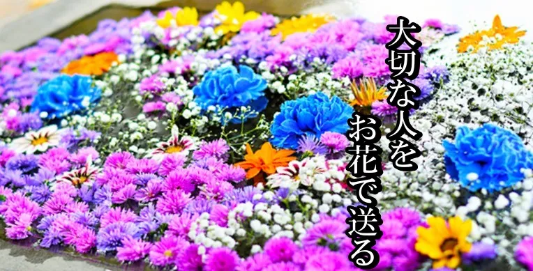 花式典