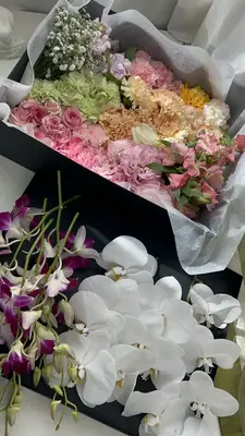 東京葬儀(品川営業所)で葬儀を行なった写真