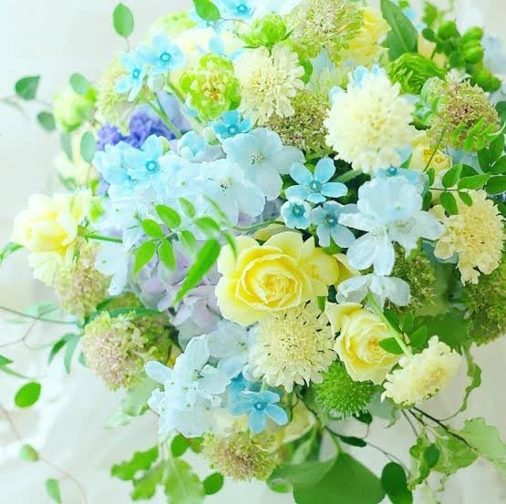 東京葬儀（目黒営業所）