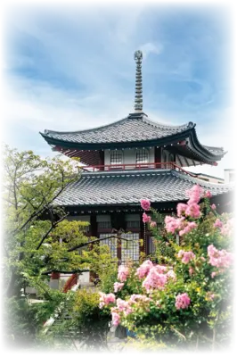 葬儀屋想わ 蔡華寺で葬儀を行なった写真