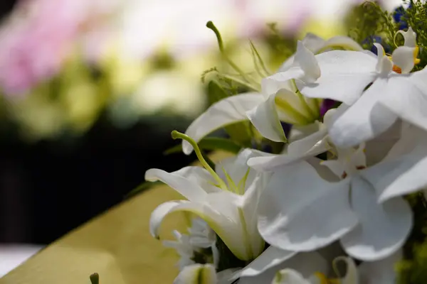 大阪祭典 松原ファミリーホールで葬儀を行なった写真