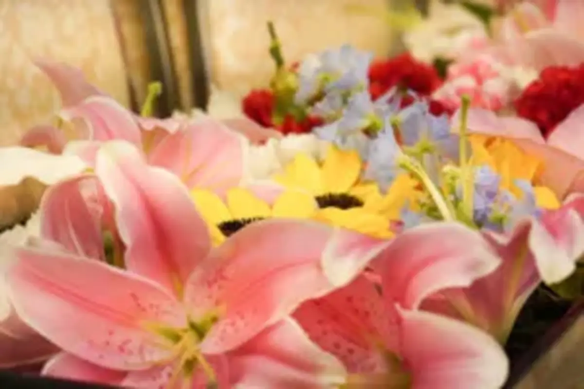 お別れの会プラン