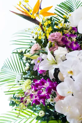 杏庵で葬儀を行なった写真