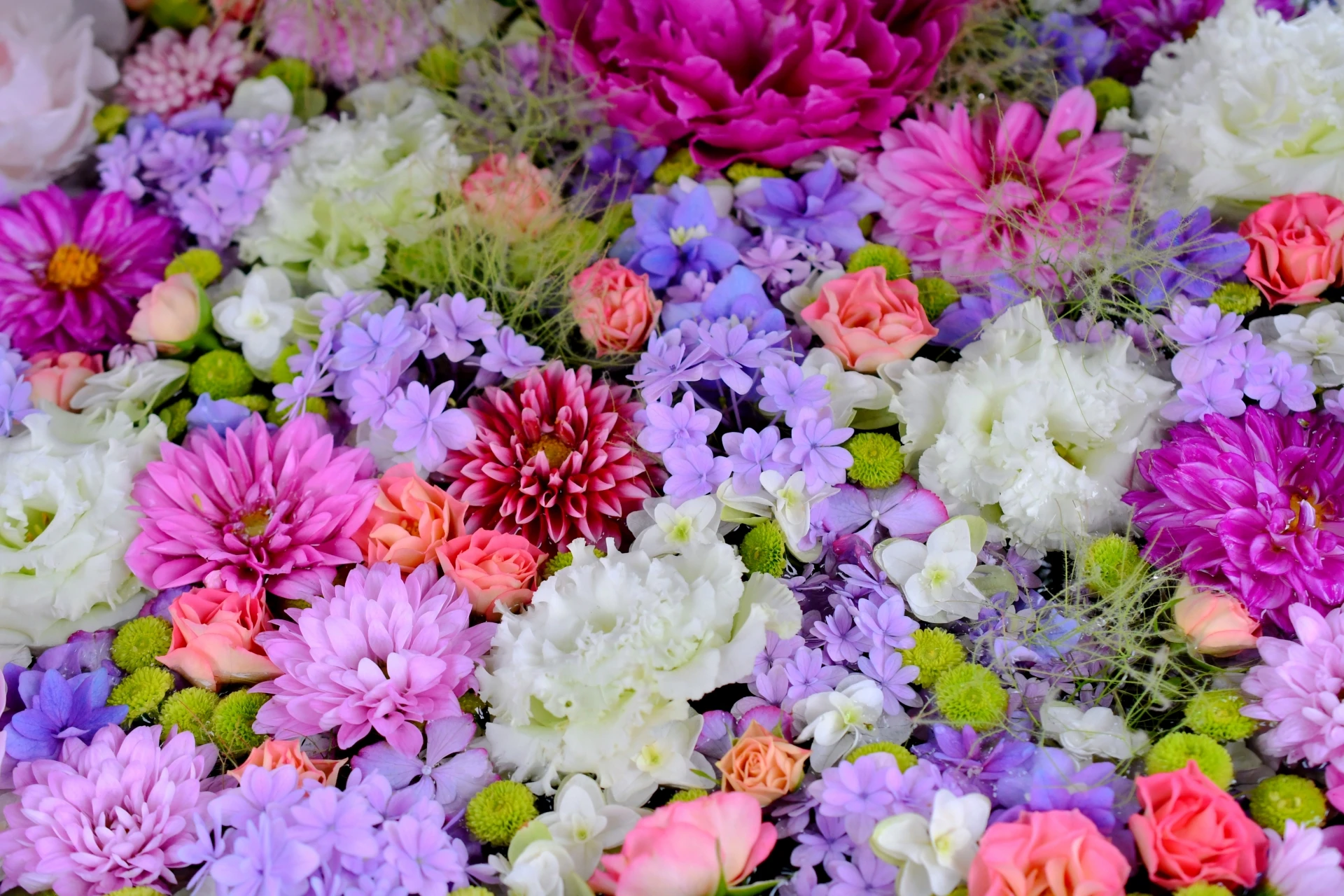 小平直葬葬儀社（家族葬ホール小平花小金井）