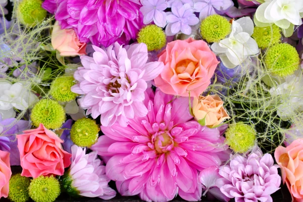 小平直葬葬儀社（家族葬ホール小平花小金井）