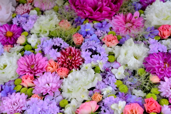 小平直葬葬儀社（家族葬ホール小平花小金井）