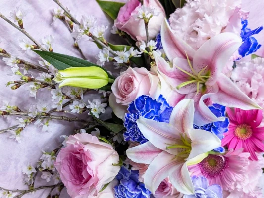 豊島区/はじめてのお葬式