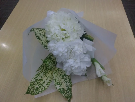 豊島区/はじめてのお葬式