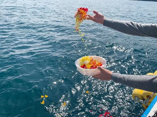 家族葬のたびだちで葬儀を行なった写真