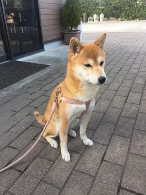 ふくじゅ葬祭で葬儀を行なった写真