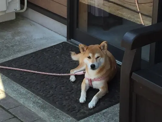 ふくじゅ葬祭で葬儀を行なった写真