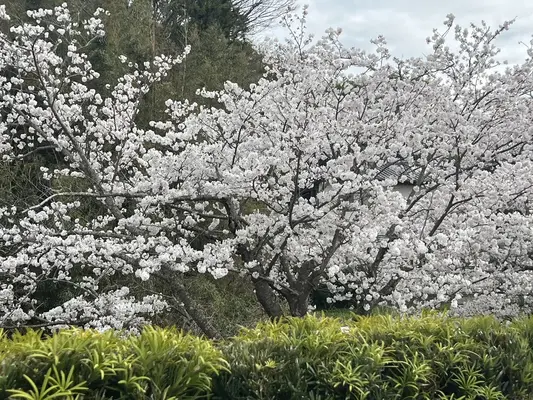 ふくじゅ葬祭で葬儀を行なった写真