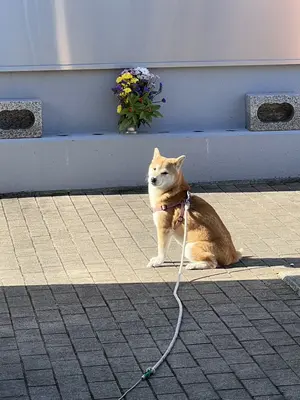 ふくじゅ葬祭で葬儀を行なった写真