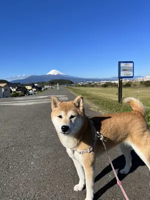 ふくじゅ葬祭で葬儀を行なった写真