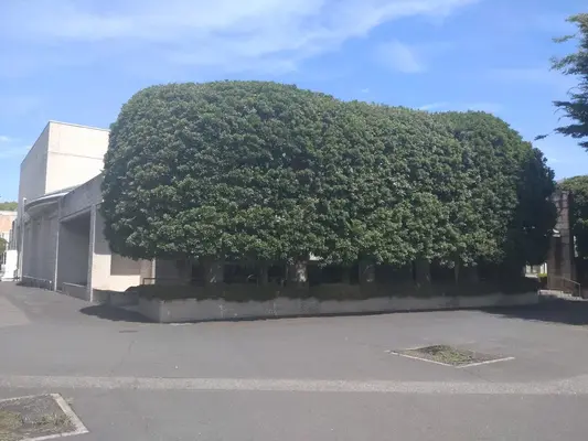 太田市斎場で葬儀を行なった写真