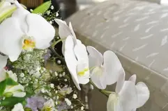 直葬プラン（火葬プラン）