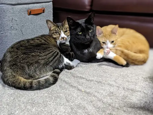 大好きな家からのお見送り