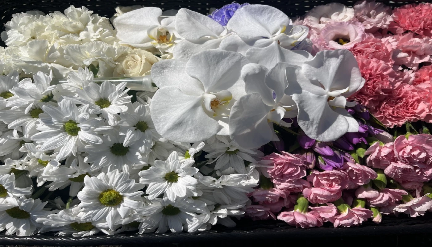 葬愛メモリアル