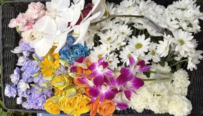 葬愛メモリアル